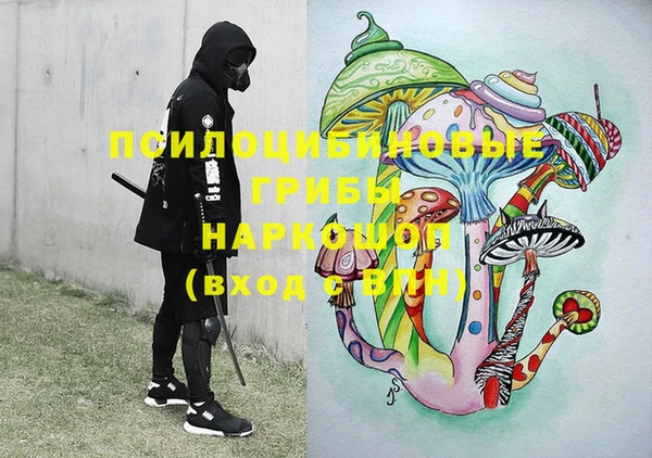 ГАЛЛЮЦИНОГЕННЫЕ ГРИБЫ Лиски
