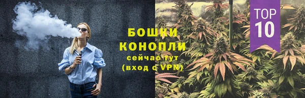 ГАЛЛЮЦИНОГЕННЫЕ ГРИБЫ Лиски