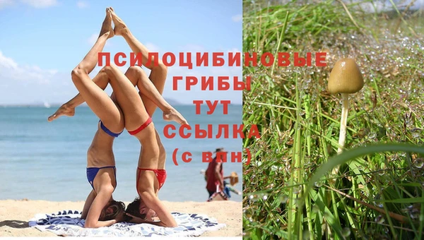 прущая мука Липки